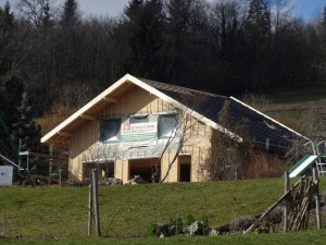 DSC03935