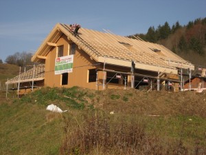 IMG 4546